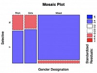 Mosaic Plot